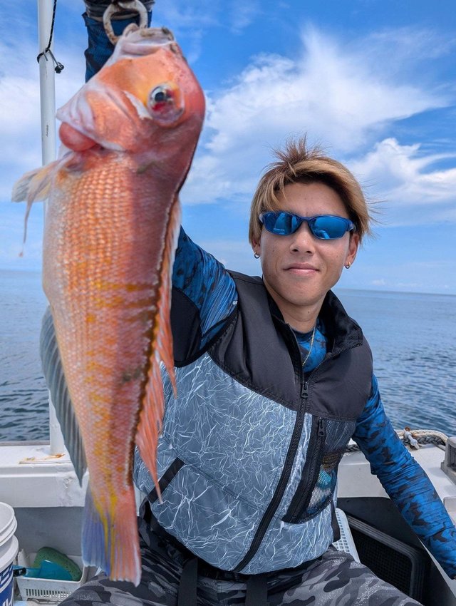 アマダイ(アカアマダイ)