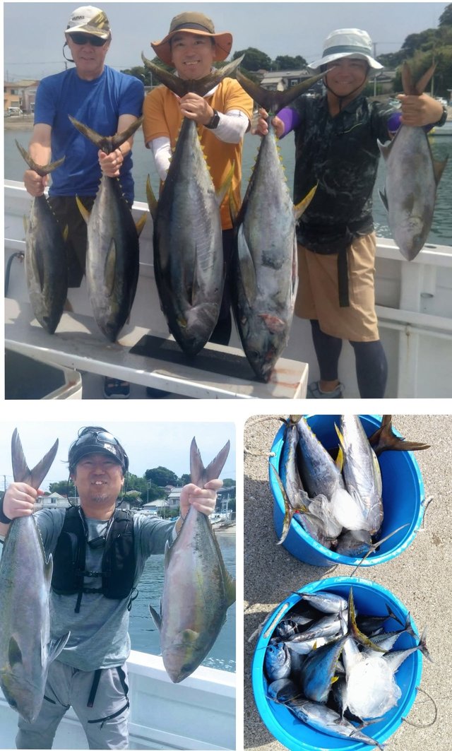 キハダマグロ(キハダ)