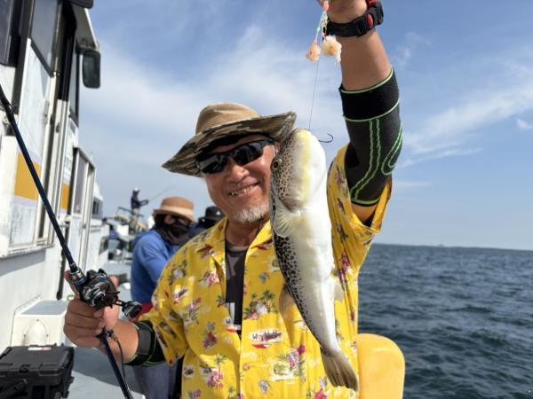 ショウサイフグ