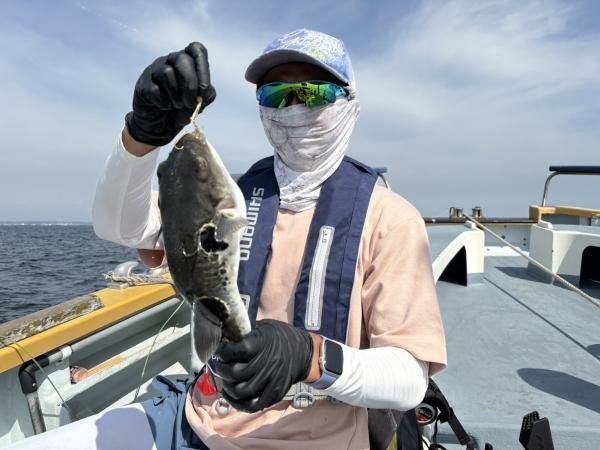 ショウサイフグ