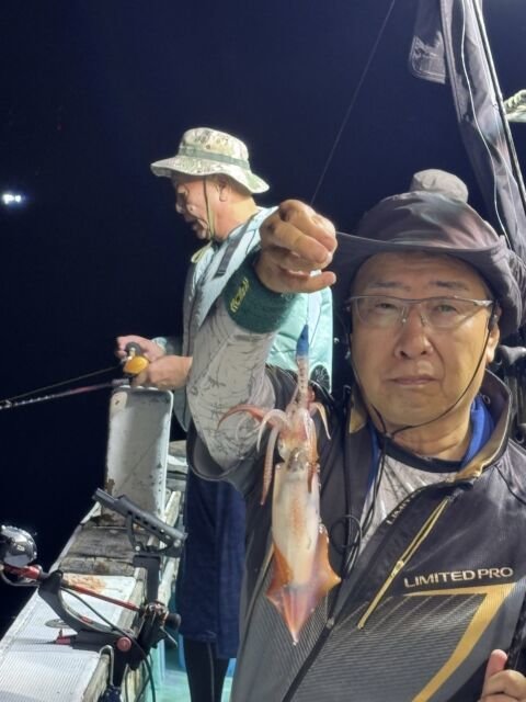 マイカ(ケンサキイカ)