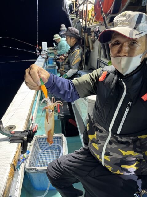 マイカ(ケンサキイカ)