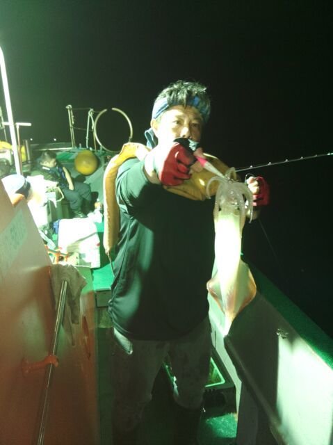 イカ(ヤリイカ)