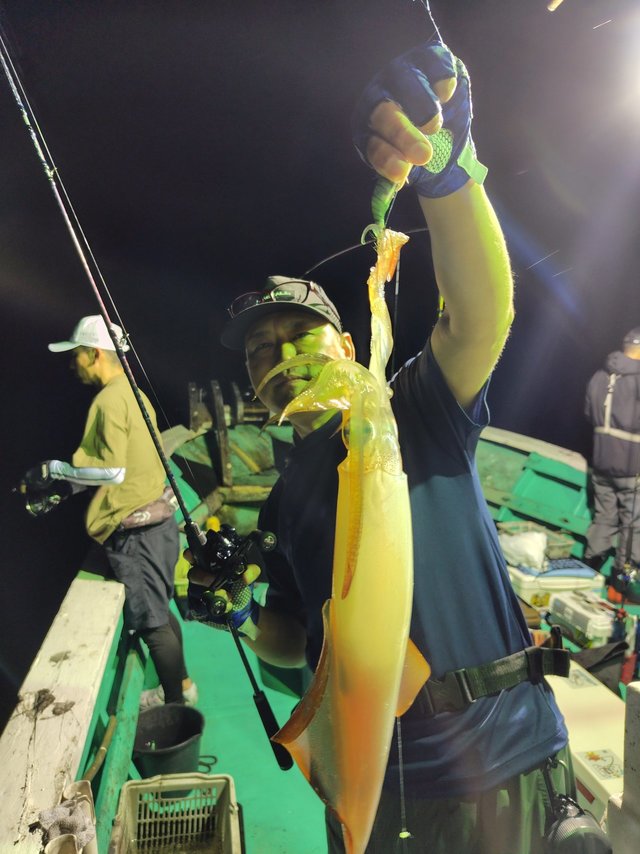 シロイカ(ケンサキイカ)