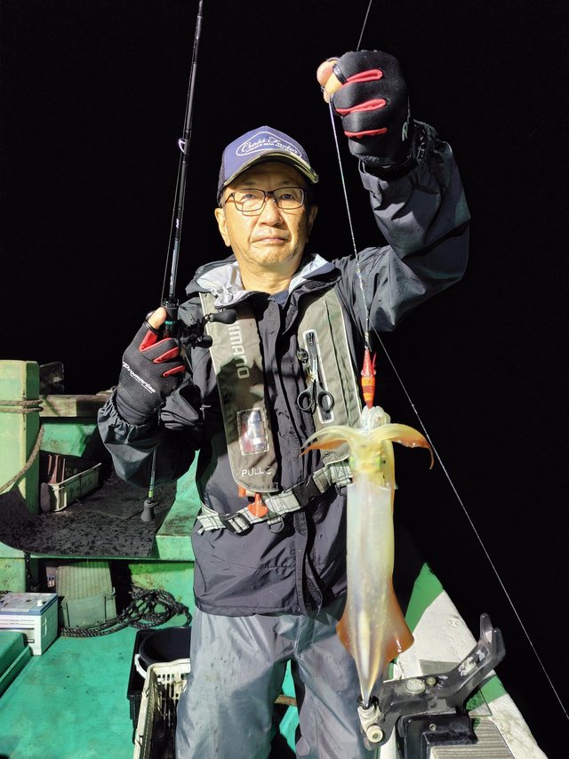 シロイカ(ケンサキイカ)