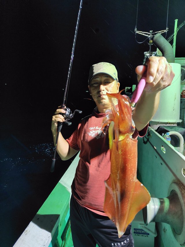 シロイカ(ケンサキイカ)