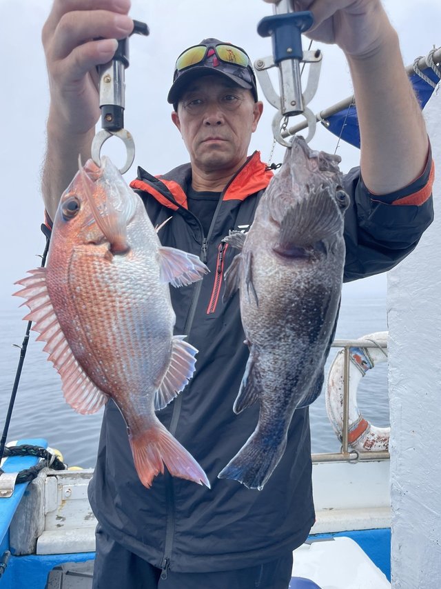 マダイ・マゾイ(キツネメバル)