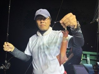 アカイカ(ケンサキイカ)