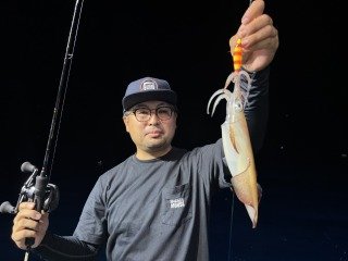 アカイカ(ケンサキイカ)