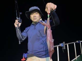 アカイカ(ケンサキイカ)