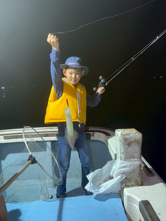 マイカ(ケンサキイカ)