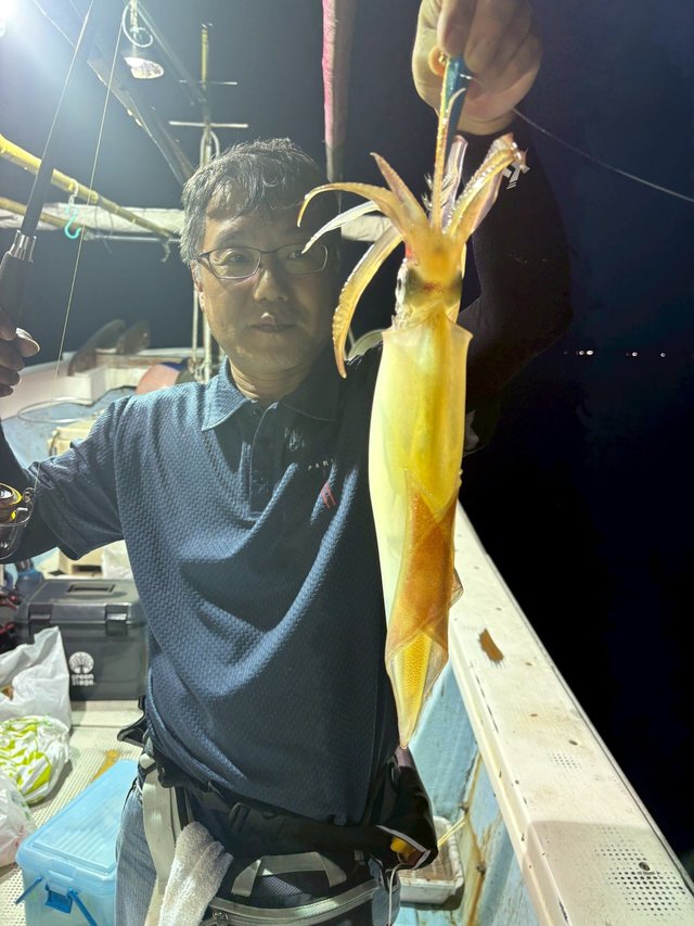 マイカ(ケンサキイカ)