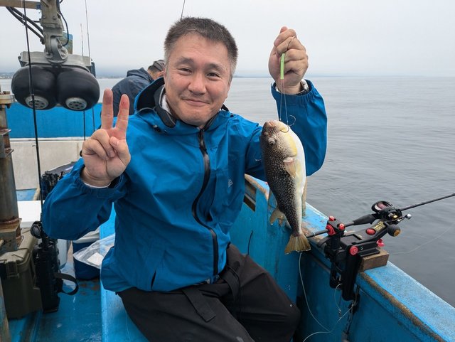 フグ(ショウサイフグ)