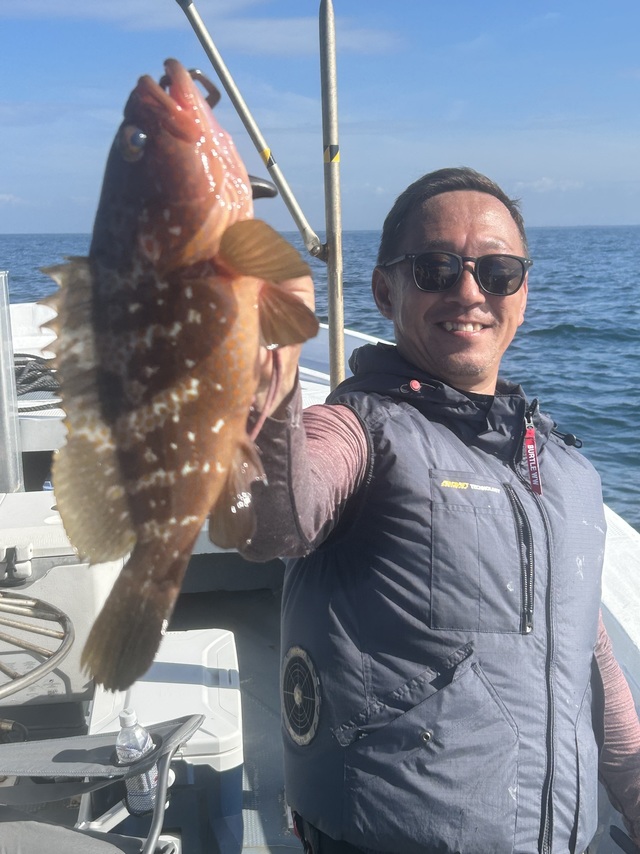 アコウ(キジハタ)