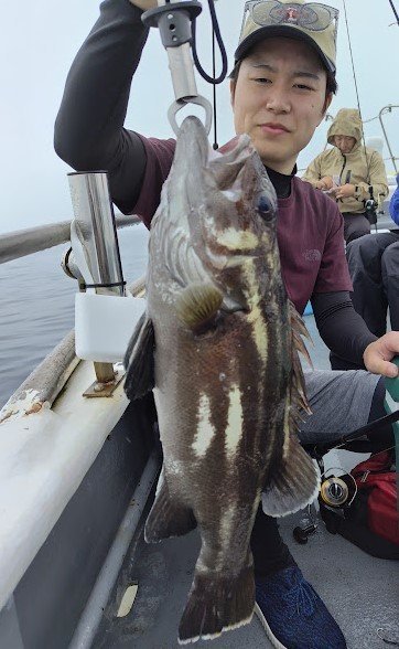 イシナギ(オオクチイシナギ)