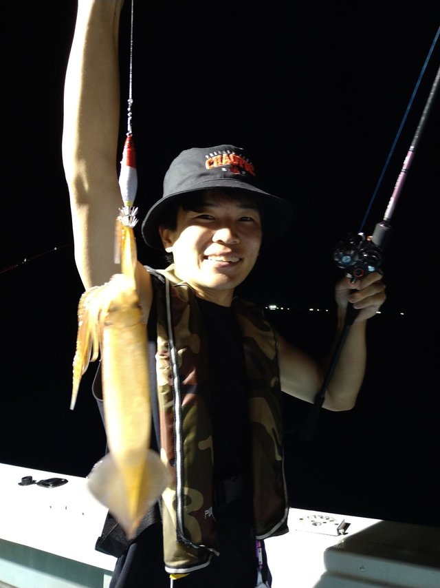 イカ(ケンサキイカ)