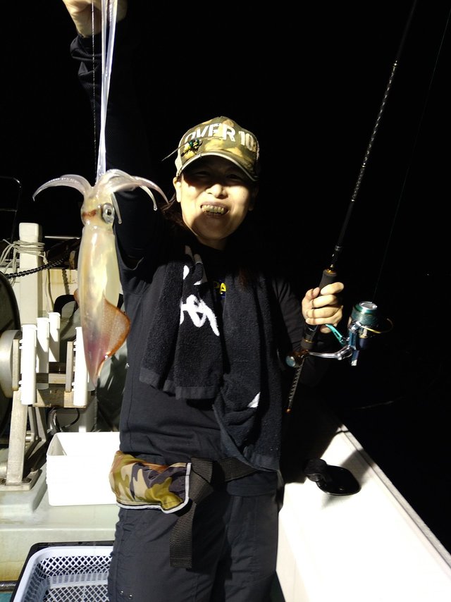 イカ(ケンサキイカ)