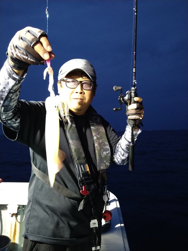 イカ(ケンサキイカ)