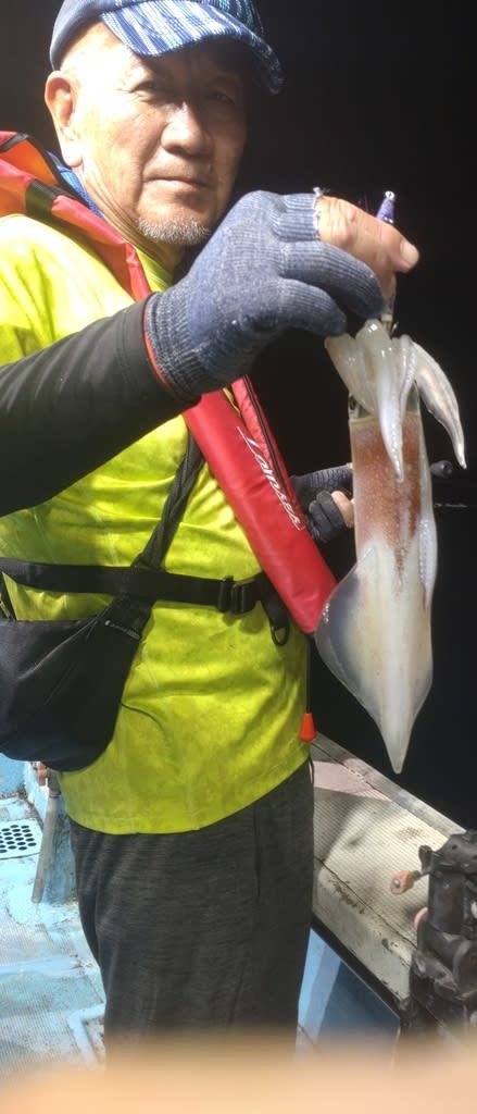 マイカ(ケンサキイカ)