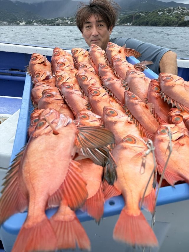 チカメ(チカメキントキ)