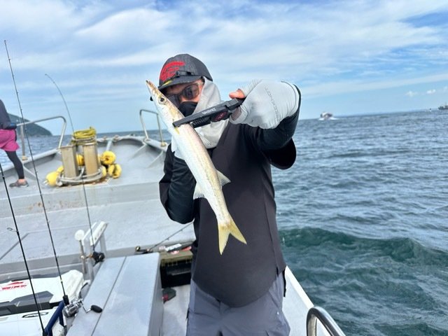 カマス(アカカマス)