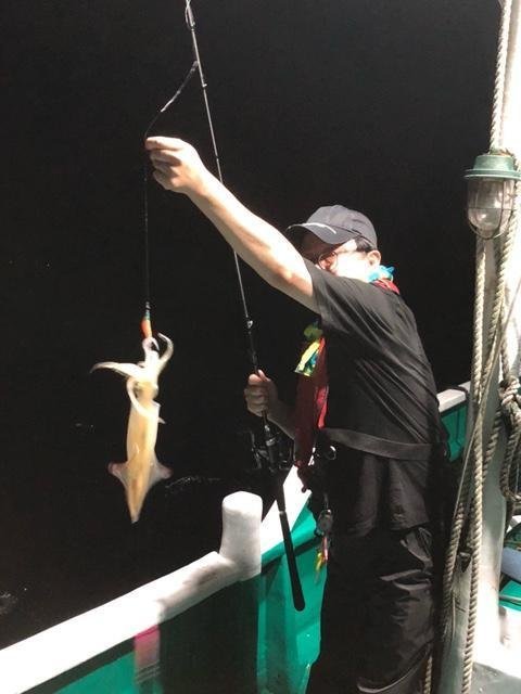 アカイカ(ケンサキイカ)