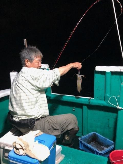 アカイカ(ケンサキイカ)