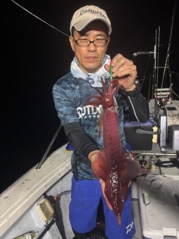 マイカ(ケンサキイカ)