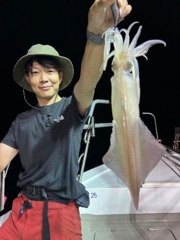 マイカ(ケンサキイカ)