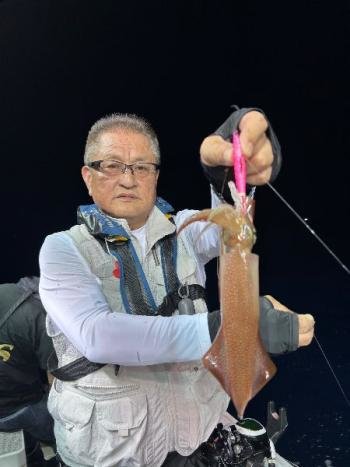 マイカ(ケンサキイカ)