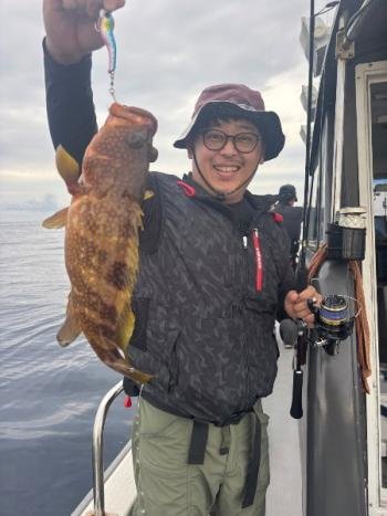 アコウ(キジハタ)