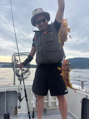 アコウ(キジハタ)