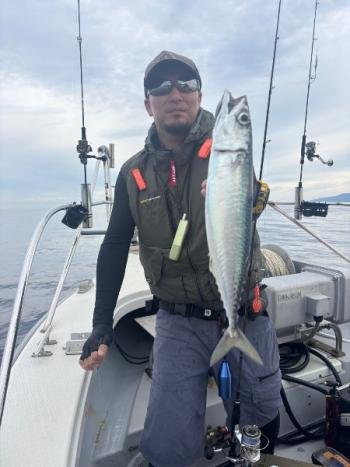 サバ(ゴマサバ)