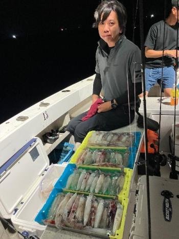 マイカ(ケンサキイカ)