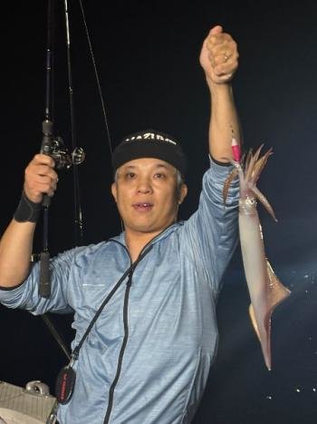 マイカ(ケンサキイカ)