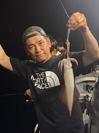 マイカ(ケンサキイカ)