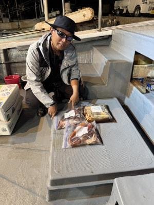 アカイカ(ケンサキイカ)・スルメイカ