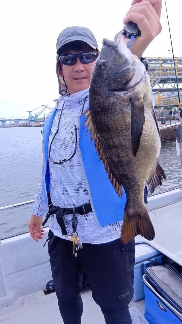 チヌ(クロダイ)