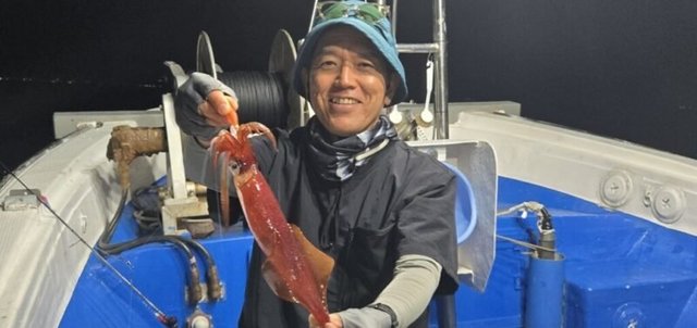 アカイカ(ケンサキイカ)