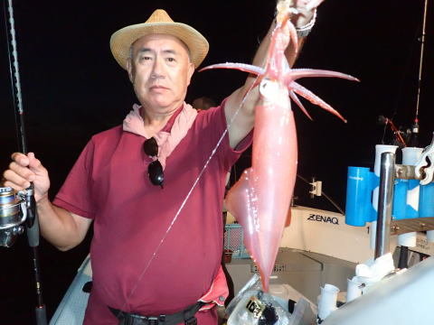 シロイカ(ケンサキイカ)