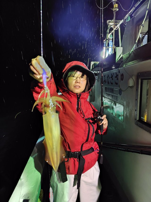 シロイカ(ケンサキイカ)