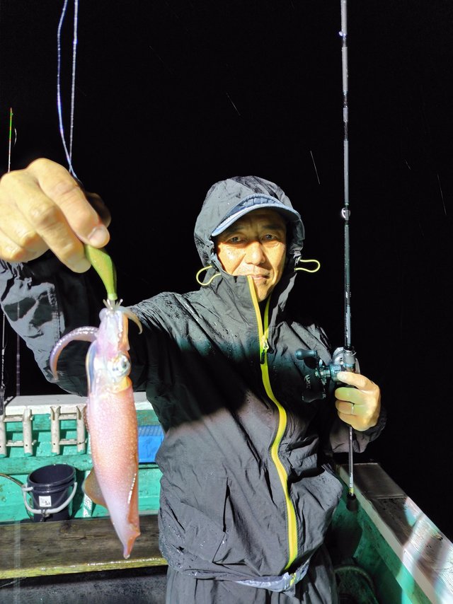 シロイカ(ケンサキイカ)