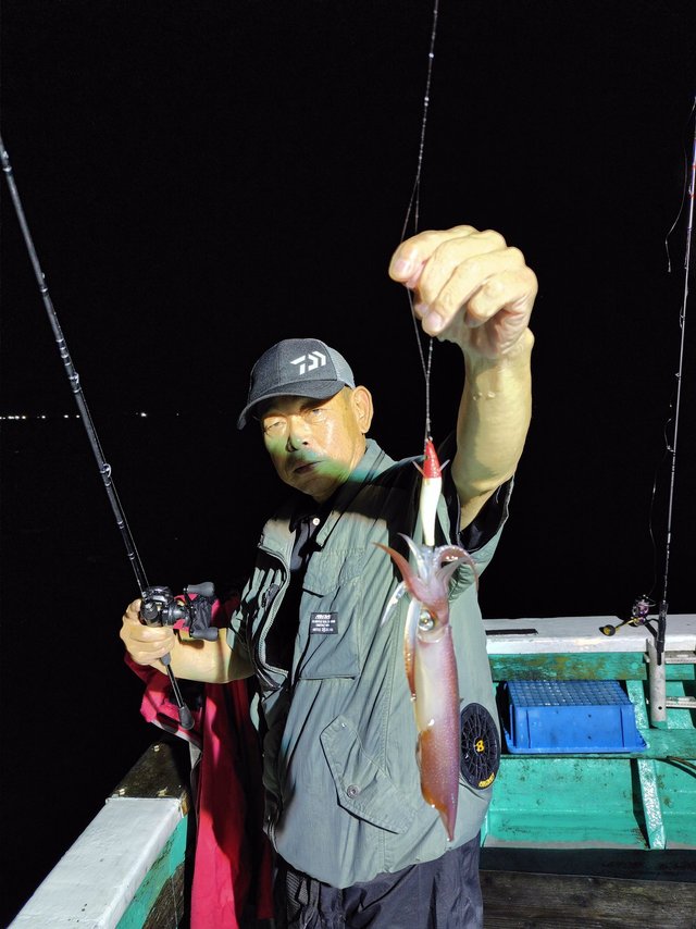 シロイカ(ケンサキイカ)