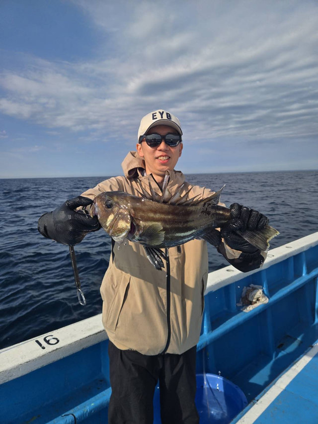 イシナギ(オオクチイシナギ)