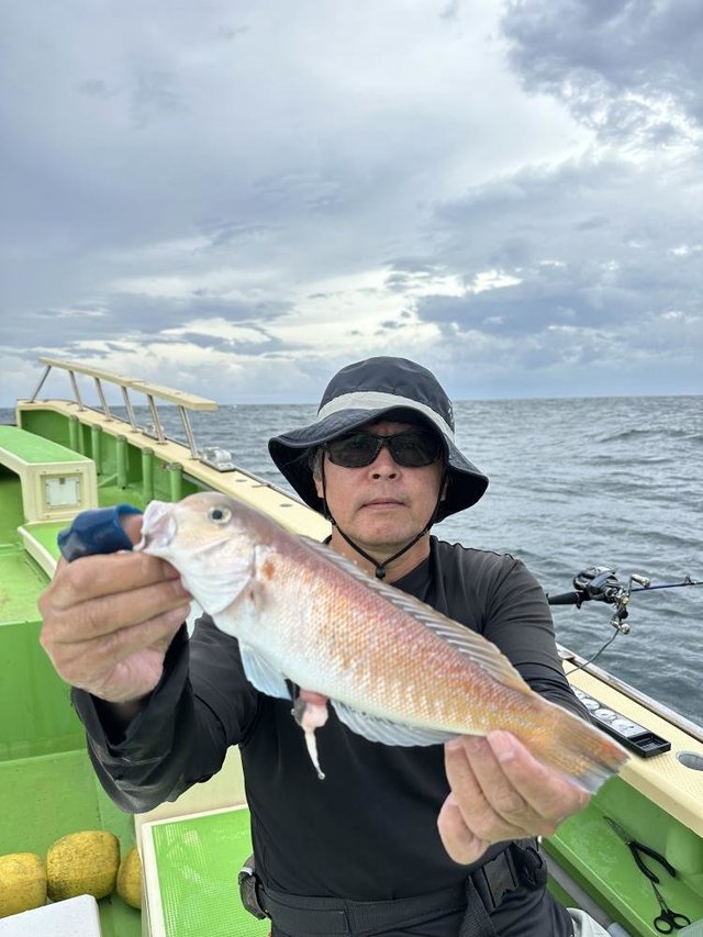 アマダイ(アカアマダイ)