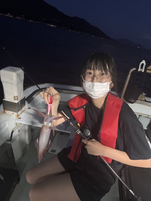 マイカ(ケンサキイカ)