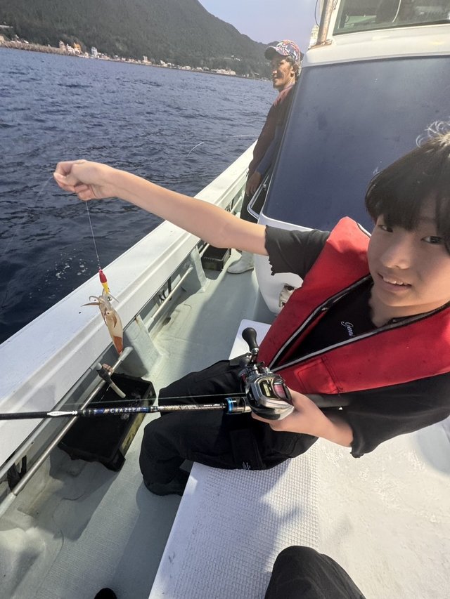 マイカ(ケンサキイカ)