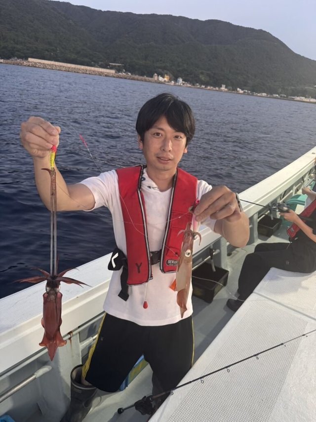 マイカ(ケンサキイカ)