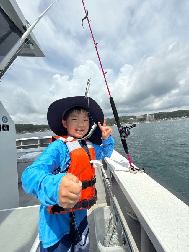 イワシ(カタクチイワシ)