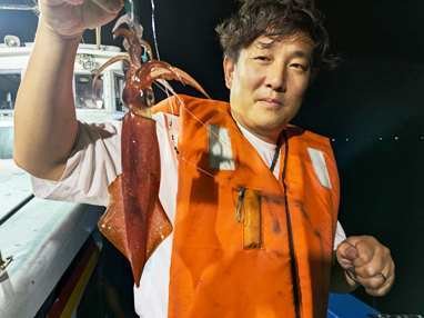 マイカ(ケンサキイカ)